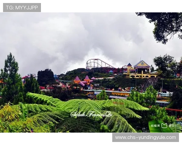 马来西亚云顶大赌场多高，关于其结构高度的详细介绍及其对旅游业的影响